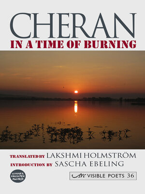 cover image of In a Time of Burning